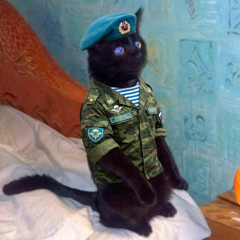 МОЙ ГРИШКА КОТ РУССКИЙ ПАТРИОТ 🇷🇺🇷🇺🇷🇺